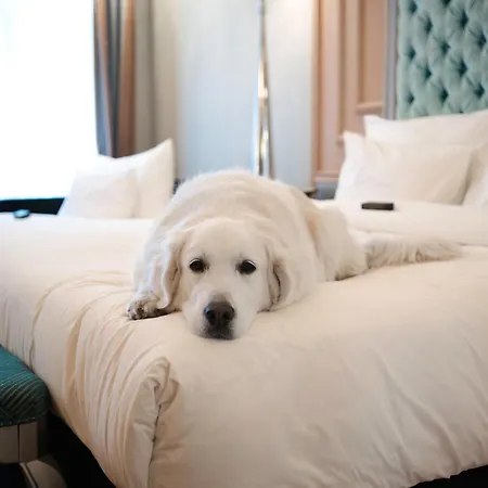 Aria By Library Collection Hotell